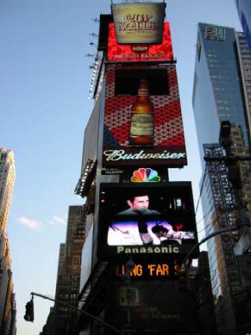 IMG_1771.JPG (39423 Byte)