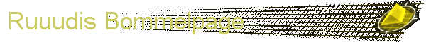 Ruuudis Bommelpage