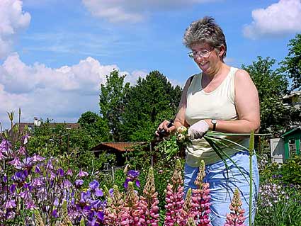 Susanne im Schrebergarten, Fr�hjahrsarbeit, Zwiebelputzen