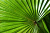 weiter zur Gartenseite