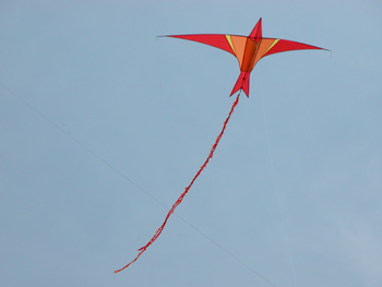Feuervogel