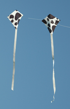 Prototyp_101