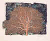 Baum im Winter 1992