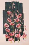 Feuerlilie1976