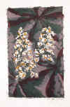 Kastanienblüten 1979