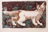 Katze 1978