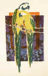 Papageien 1974