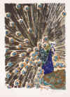 Pfau 1976