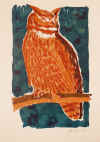 Uhu 1981