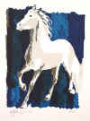 Weisses Pferd 1996