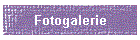 Fotogalerie