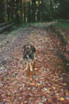 0006.jpg (139589 Byte)