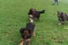 0008.jpg (65138 Byte)