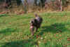 0016.jpg (113859 Byte)