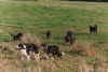 0017.jpg (77141 Byte)
