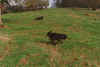 0019.jpg (79378 Byte)