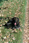 0024.jpg (76871 Byte)