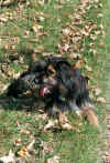 0025.jpg (73736 Byte)