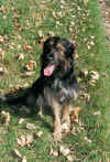 0027.jpg (72603 Byte)