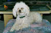 0042.jpg (105272 Byte)