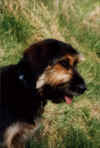 0047.jpg (64665 Byte)
