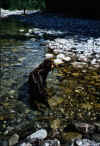 0061.jpg (119665 Byte)