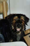 0064.jpg (53540 Byte)