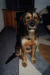 0066.jpg (63774 Byte)