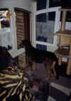 0067.jpg (69104 Byte)