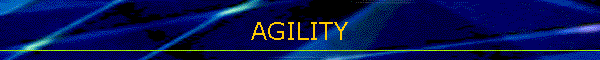 AGILITY