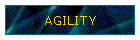 AGILITY