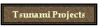Tsunami Projects