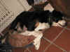 jacky 3.JPG (54257 Byte)