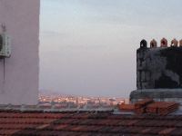 DSC00013_1