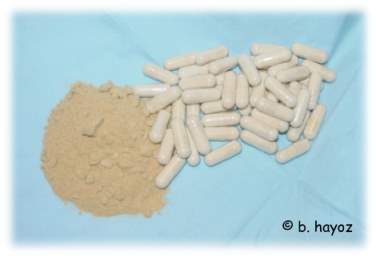 Spezialmuschelfleischkapseln der Alternativen Gesundheitspraxis f�r Tiere