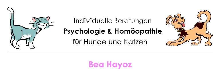 Hom�opathie & Psychologie f�r Tiere - Sprechstunden nach Vereinbarung
