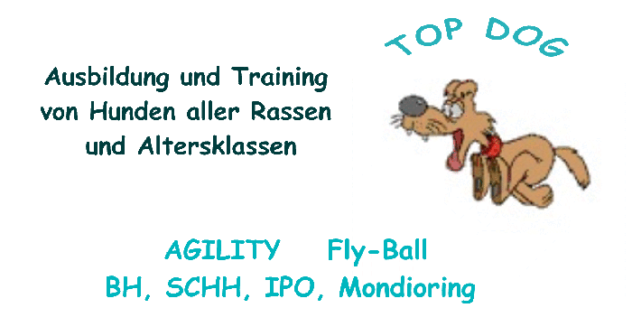 Unser privater Trainingsplatz: wir bieten ein vielseitiges Programm mit individueller F�rderung in allen Sportbereichen!