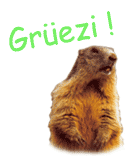 Gr&uuml;ezi mit'nand ...