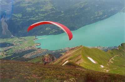 Blick vom Brienzer Rothorn, Brienzer See