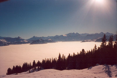 Genuss pur: in der Sonne &uuml;berm Nebel!