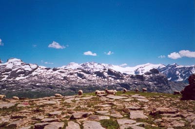Hohmad, Gletscherblick