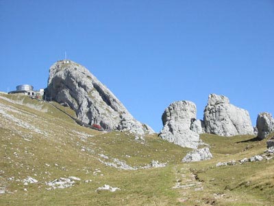 Ein etwas anderer "Esel" :-)