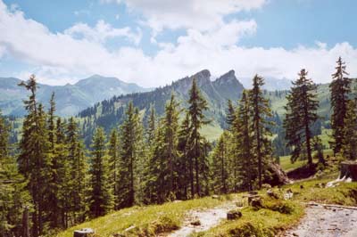 Klippen in den Bergen