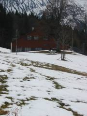 Haus