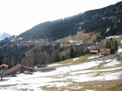 Haus