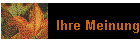 Ihre Meinung