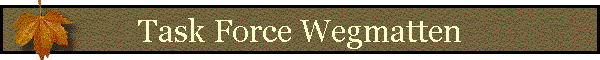 Task Force Wegmatten