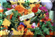 BluAktiHerbst2001_02_w.jpg (62621 Byte)