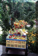 BluAktiHerbst2001_03_w.jpg (94504 Byte)