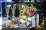 BluAktiHerbst2001_04-w.jpg (46535 Byte)